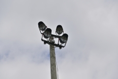 Baseball-Frontenac-8