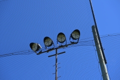 Baseball-St-Odilon-5