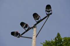 Baseball-Tennis-Clermont-4